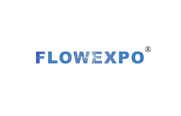 2025年广东国际气体、低温设备及天然气装备展览会 Flowexpo