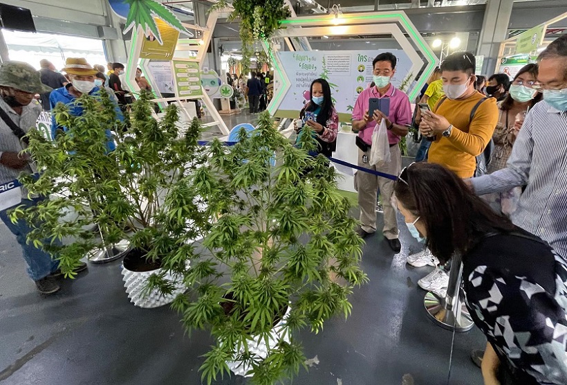 2026年泰国曼谷大麻展-亚洲国际大麻论坛AIHEFAsia International Hemp Expo & Forum展馆现场，专业观众参观实况