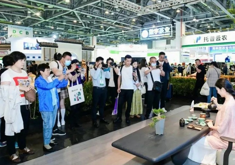 2026年武汉秋季茶产业展-武汉茶博会TEAEXPO展馆现场,专业观众参观实况
