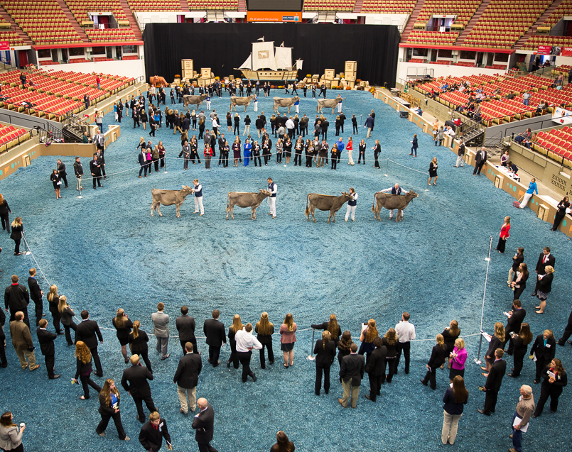 2026年世界(美国)乳业展览会WORLD DAIRY EXPO展会现场产品演示与行业交流活动