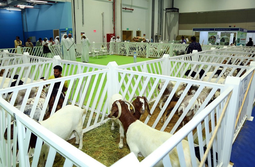 2026年中东阿联酋迪拜畜牧业展览会AgroFarm Middle East行业机械设备展品展台实拍