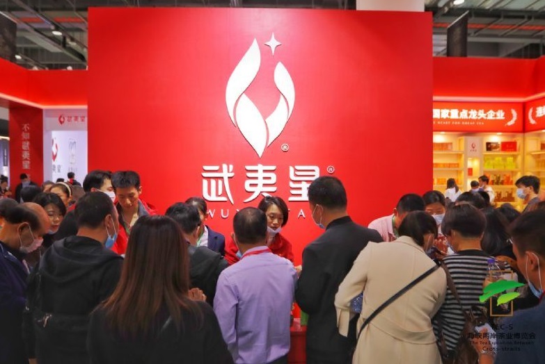 2026年武汉国际茶产业展-武汉茶博会TEAEXPO展会现场产品演示与行业交流活动