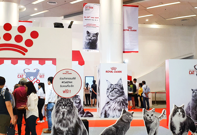 2027年泰国曼谷猫展Thailand Cat Lovers Fair展馆现场,专业观众参观实况