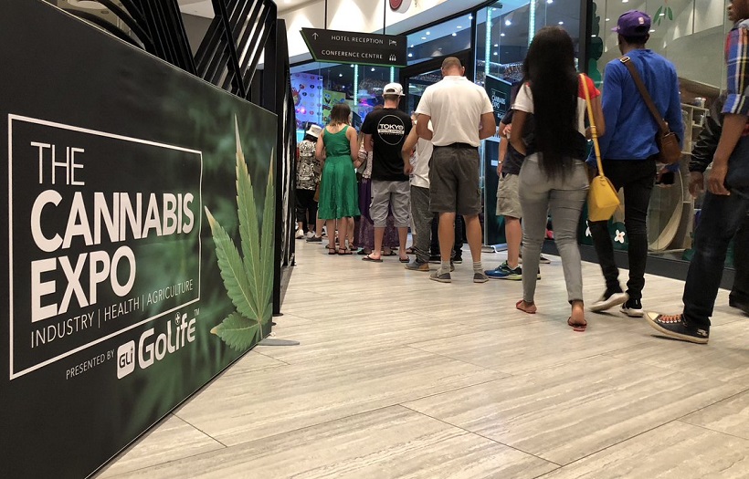 2027年南非约翰内斯堡大麻展览会The Cannabis Expo展馆现场，专业观众参观实况