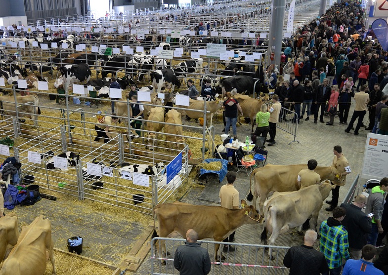2026年德国斯图加特宠物用品展览会ANIMAL展馆内部展台环境实拍