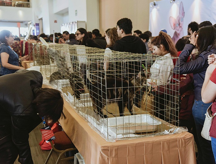 2025年墨西哥宠物用品展览会Latinzoo Mexico 参展商与海外采购商展台洽谈现场