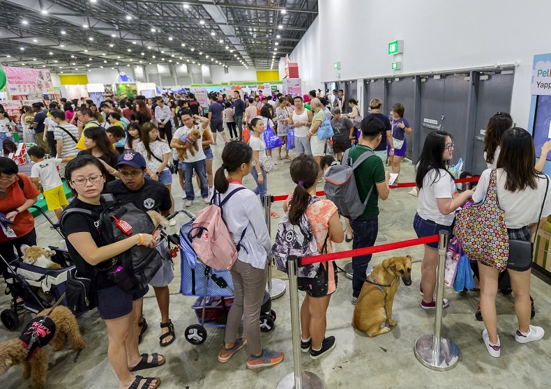 2026年新加坡宠物展览会SG Pet Festival展馆内部展台环境实拍