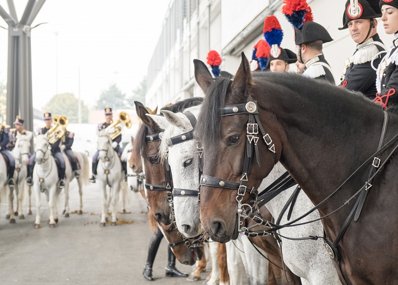 2026年意大利维罗纳马术马具展览会FIERACAVALLI展馆现场，专业观众参观实况