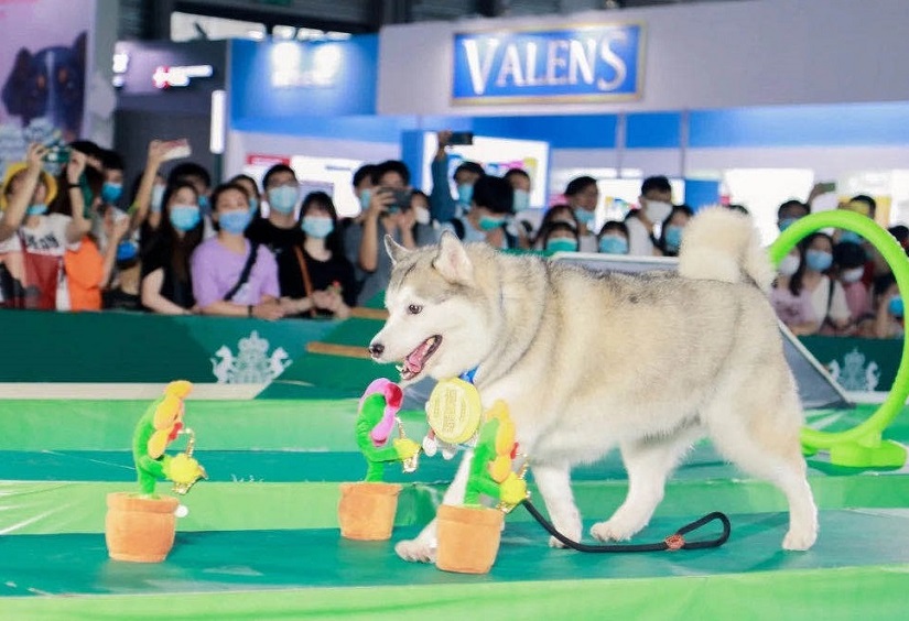 2027年亚宠北京宠物展-京宠展Pet Fair Beijing展馆现场，专业观众参观实况