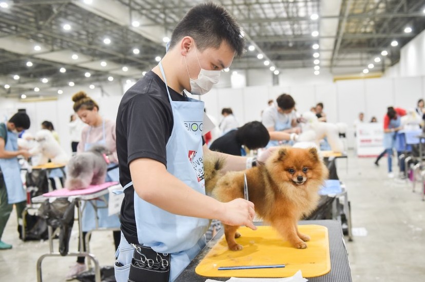 2026年新加坡宠物展览会SG Pet Festival参展商与海外采购商展台洽谈现场