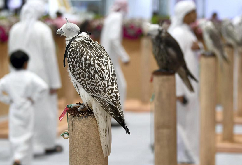 2027年中东迪拜狩猎装备、枪械、刀具展览会Middle East Hunting Expo参展商与海外采购商展台洽谈现场