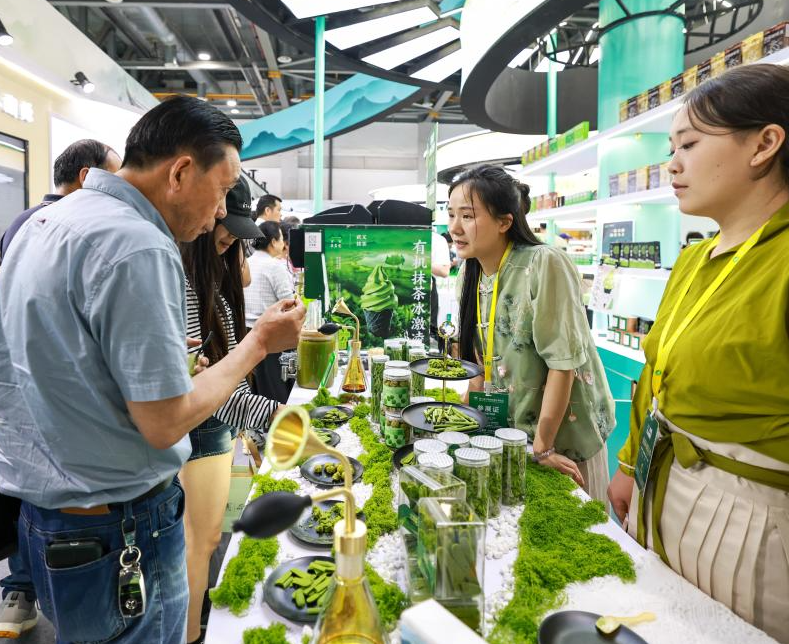 2026年中国国际茶叶博览会-杭州茶博会TEAEXPO展馆现场，专业观众参观实况