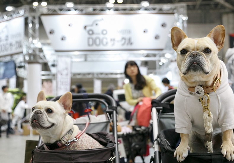 2027年日本东京宠物用品展览会Interpets Asia Pacific展馆内部展台环境实拍