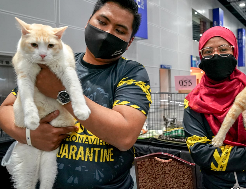 2026年马来西亚宠物用品展览会Pet Expo Malaysia展馆内部展台环境实拍