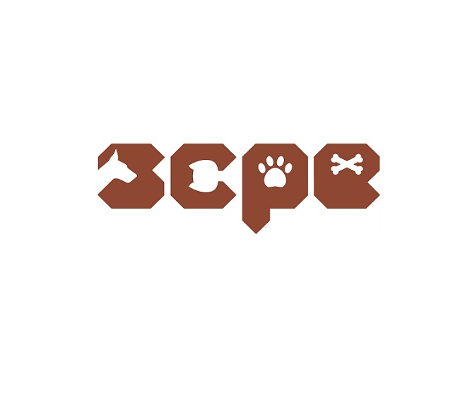 SCPE 2026年深圳宠物用品博览会暨定制/跨境选品节官方logo