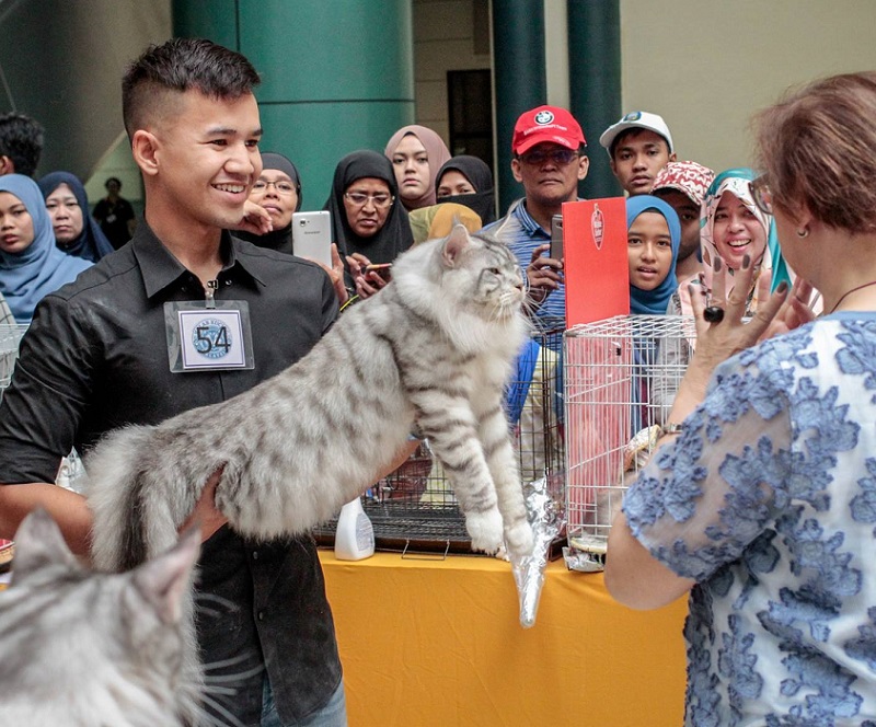 2026年马来西亚宠物用品展览会Pet Expo Malaysia展馆现场,专业观众参观实况
