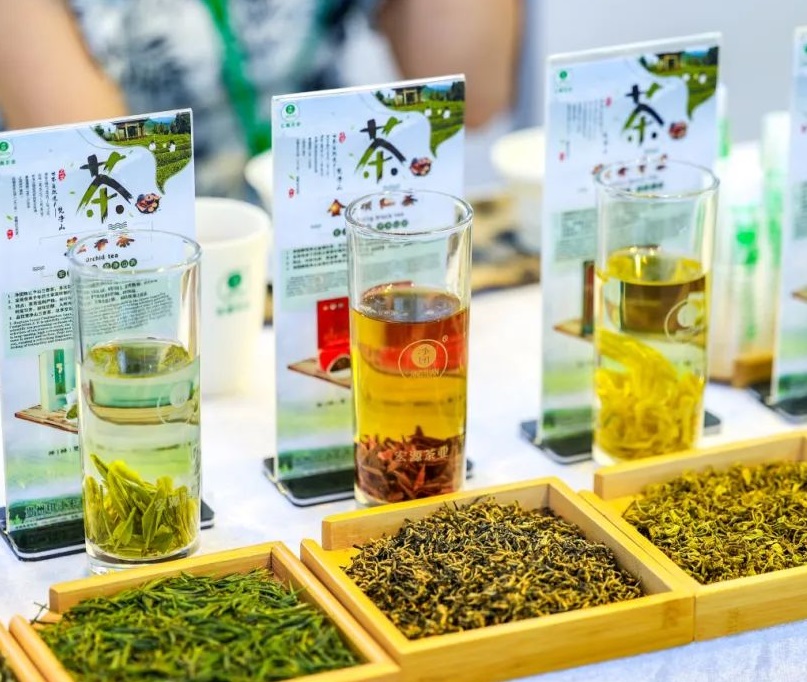 2026年中国国际茶叶博览会-杭州茶博会TEAEXPO展馆内部展台环境实拍