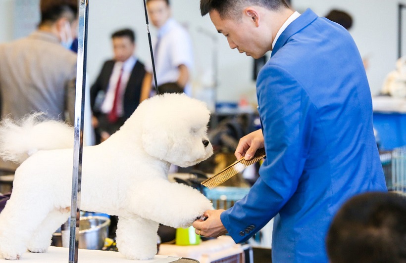 2026年郑州中原国际宠物供应链博览会Zhengzhou Pet Exhibition行业机械设备展品展台实拍