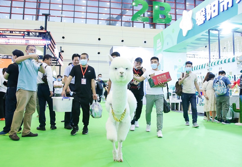 2026年郑州中原国际宠物供应链博览会Zhengzhou Pet Exhibition行业机械设备展品展台实拍