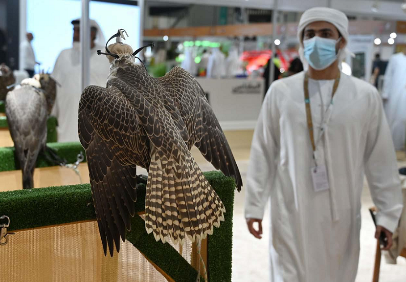 2027年中东迪拜狩猎装备、枪械、刀具展览会Middle East Hunting Expo行业机械设备展品展台实拍