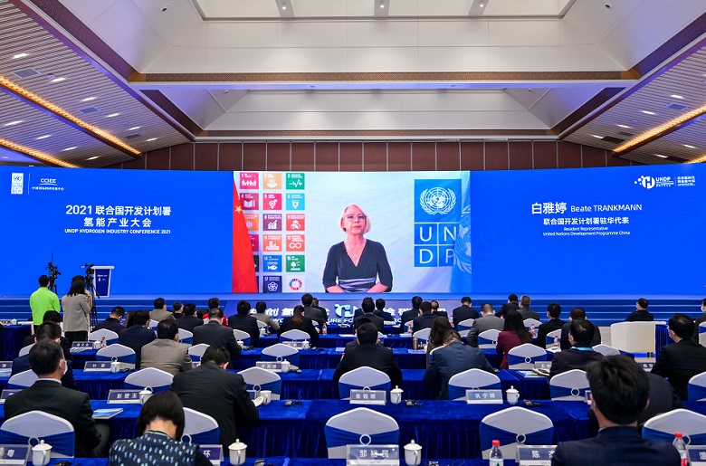 2026年中国氢能产业大会UNDP展馆现场,专业观众参观实况
