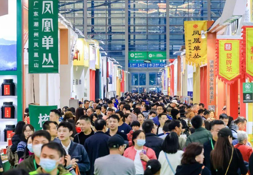 2026年大连国际茶产业展-大连茶博会TEAEXPO展馆现场，专业观众参观实况