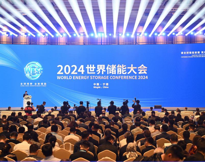 2026年世界储能大会WESE展馆现场，专业观众参观实况
